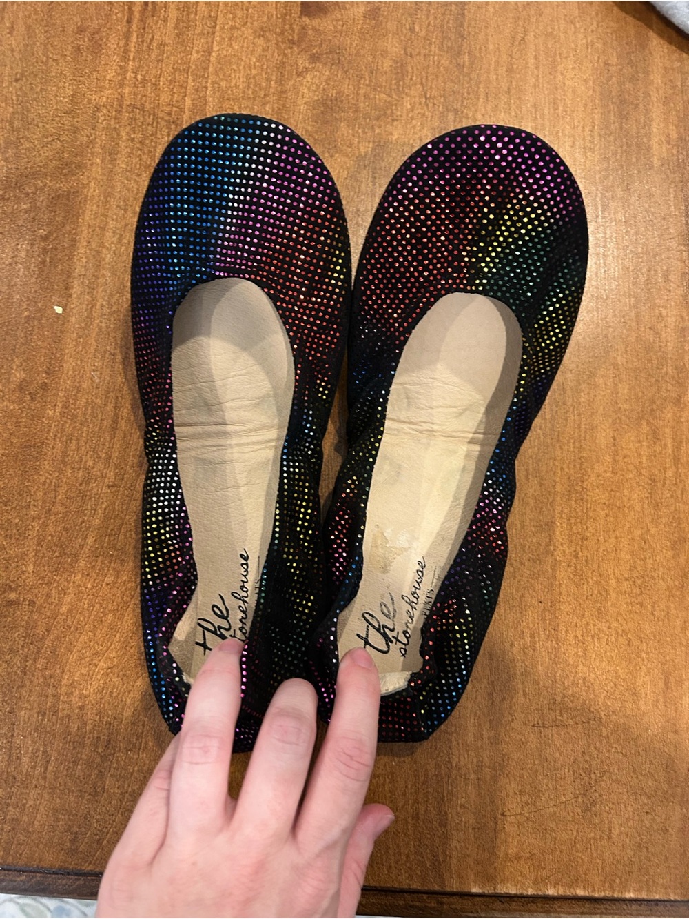 BNWT! The stone house flats size 9 leather rainbow fold up flats